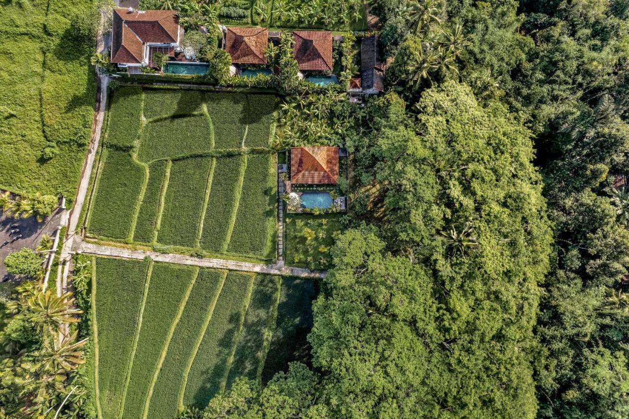 Ratni Ubud Villa Exterior photo